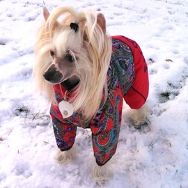 Zimní oblečky na psy – overaly For My Dogs6